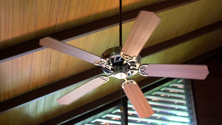 Mayur Fan House