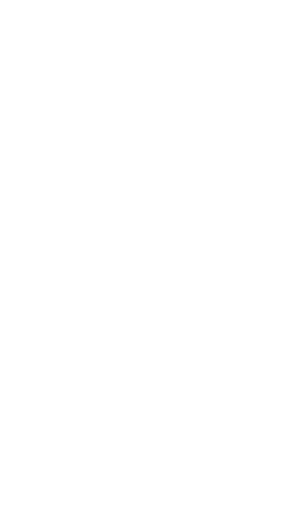 Decorative Shape
